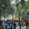 Wana Griya di Bogor: Daya Tarik, Harga Tiket, dan Rute