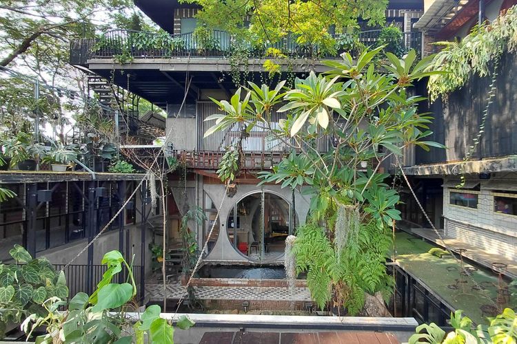 7 Pohon Peneduh yang Bikin Halaman Rumah Lebih Nyaman