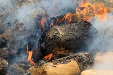 100 Kg Ganja dan 10 Kg Sabu Dibakar di Lampung