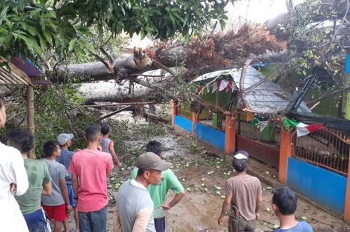 Angin Puting Beliung di Sumedang, Masjid Rusak Tertimpa Pohon Tumbang
