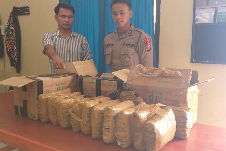 Polisi menunjukkan barang bukti ganja 12 kg yang gagal diseludupkan melalui Bandara Silangit 