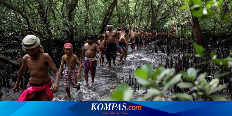 7 Hutan Mangrove Di Indonesia Pelindung Abrasi Yang Wajib Dikunjungi Halaman All Kompas Com