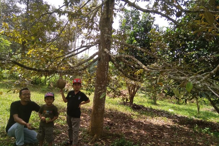 Pengunjung berdiri di tumpukan durian, Desa Kilometer Delapan, Kecamatan Simpang Keramat, Kabupaten Aceh Utara, Minggu (26/7/2020). 