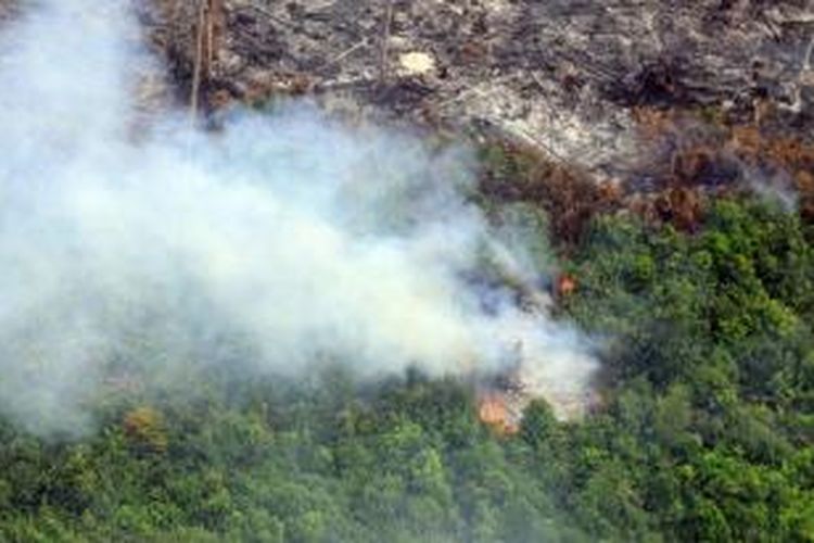 Asap tebal dari kebakaran hutan di Kabupaten Pelalawan, Riau, 21 Juni 2013. Presiden Susilo Bambang Yudhoyono, atas nama Pemerintah Indonesia, meminta maaf kepada negara-negara yang terkena imbas atas asap Riau.