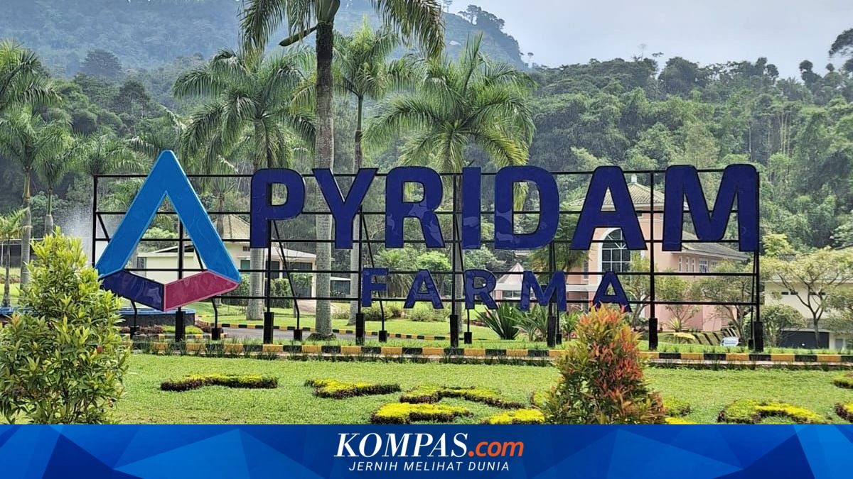 Pendapatan Pyridam Farma Naik 173 Persen, Capai Rp 1,92 Triliun pada 2024