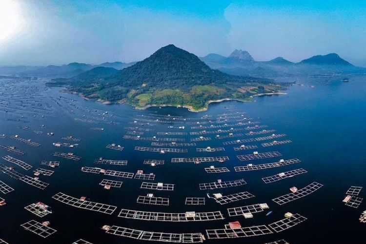 Waduk Jatiluhur, salah satu destinasi wisata di Purwakarta yang dapat dikunjungi.