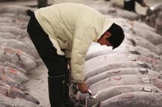 KKP: Tidak Ada Alasan untuk Impor Ikan