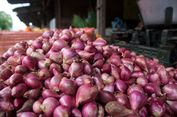 Jurus Bapanas Hadapi Anjloknya Harga Bawang Merah