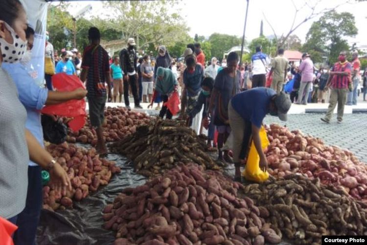 Gubernur Papua, Lukas Enembe membeli 5 ton ubi dan pangan lokal untuk dibagikan kepada masyarakat terdampak pandemi corona, 5 Mei 2020. 
