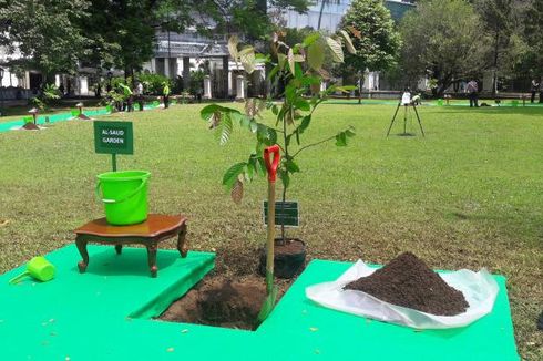 Raja Salman Akan Tanam Pohon Ulin di Istana Bogor