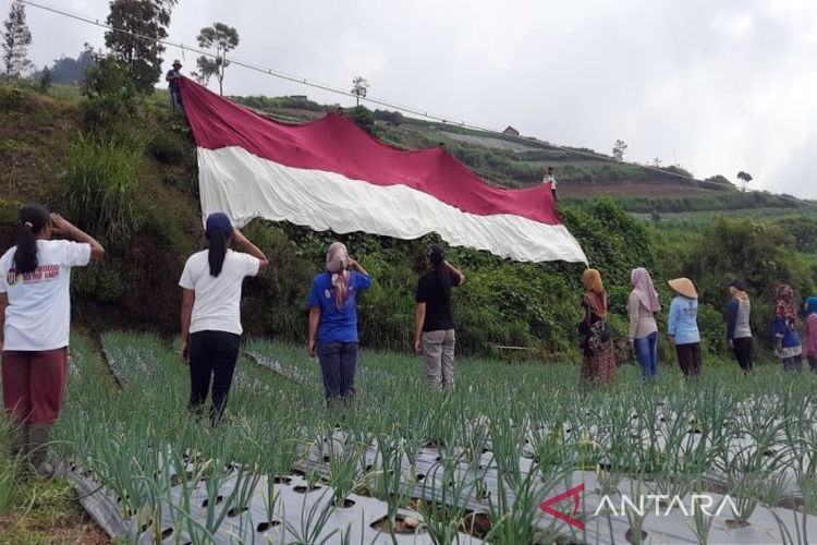 Puluhan warga di Lereng Gunung Merbabu memberikan hormat kepada bendera Merah Putih ukuran raksasa menjelang peringatan HUT Ke-77 Kemerdekaan RI di area pertanian Lereng Merbabu Desa Selo, Kecamatan Selo, Boyolali, Jawa Tengah, Selasa (16-8-2022). ANTARA/Bambang Dwi Marwoto