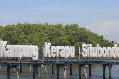 Wisata Kampung Kerapu, Sajian Potensi Budidaya Ikan dan Panorama Alam