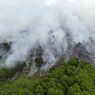 Perubahan Iklim Picu Musim Kebakaran Hutan Makin Parah
