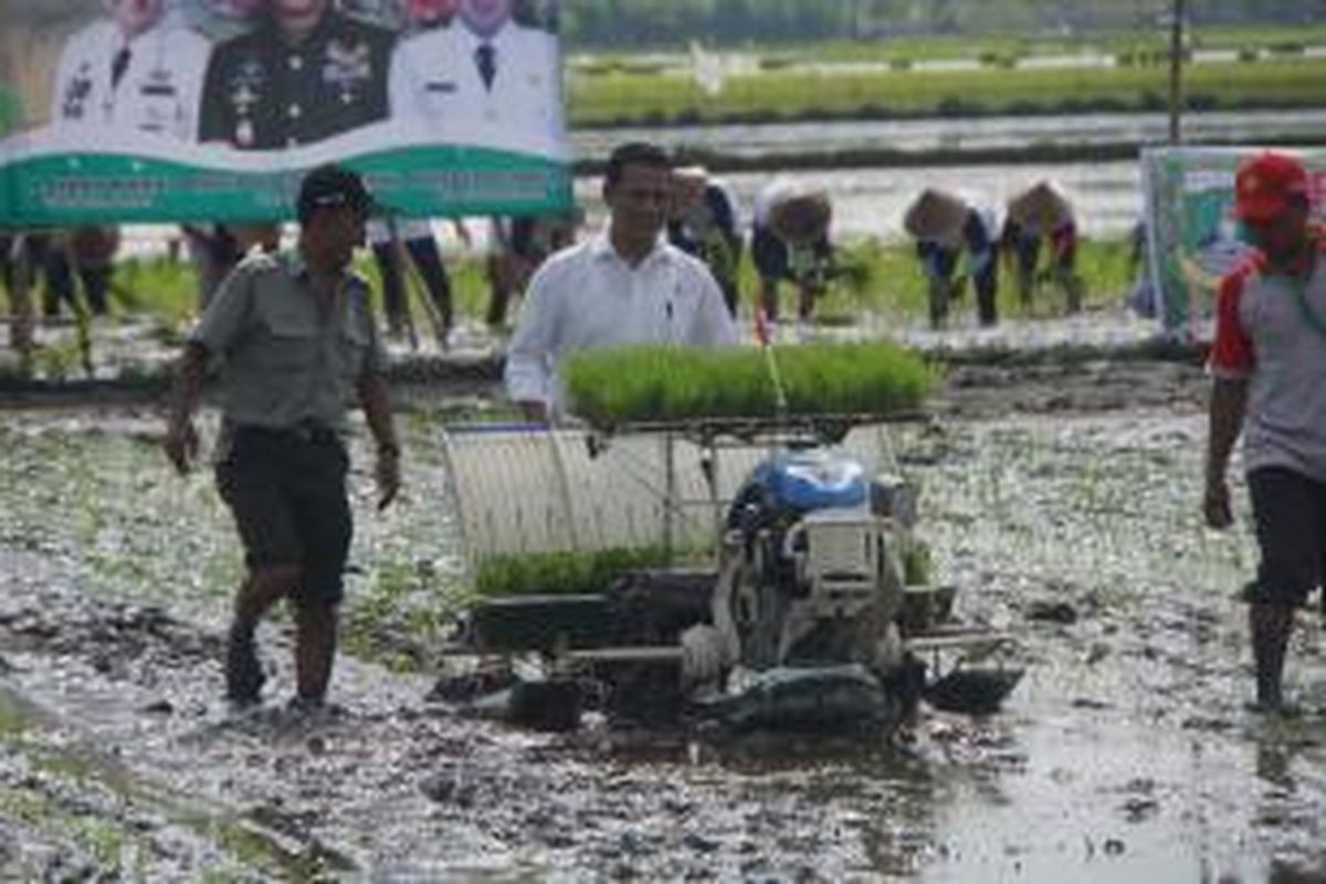 Menteri Pertanian Andi Amran Sulaiman turun ke sawah melakukan penanaman padi serempak di Desa Rawakidang, Kecamatan Sukadiri, Kabupaten Tangerang, Provinsi Banten pada Senin (7/12/2015). Tanam serempak ini merupakan bentuk langkah nyata Kementan dalam mempercepat dan mendorong petani agar mulai melakukan penanaman perdana musim tanam Oktober 2015 -Maret 2016.
