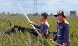 BRGM: Restorasi Permanen Jadi Solusi Pemulihan Ekosistem Gambut Berkelanjutan