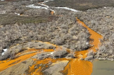 Sungai Alaska Berubah Warna Menjadi Oranye, Apa Penyebabnya?