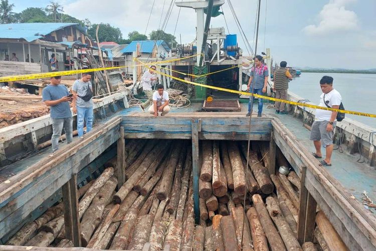 Ratusan kayu gelondongan atau kayu balok yang diduga ilegal masuk ke Batam, Kepulauan Riau (Kepri) melalui pelabuhan rakyat dapur 12 Kecamatan Sagulung ditangkap Satreskrim Polresta Barelang.