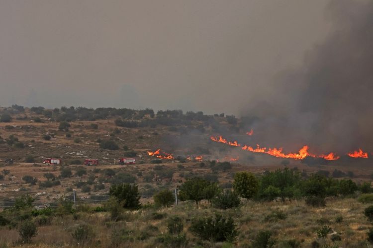 Dilanda Kebakaran Hebat, Israel Teriak Minta Bantuan Internasional