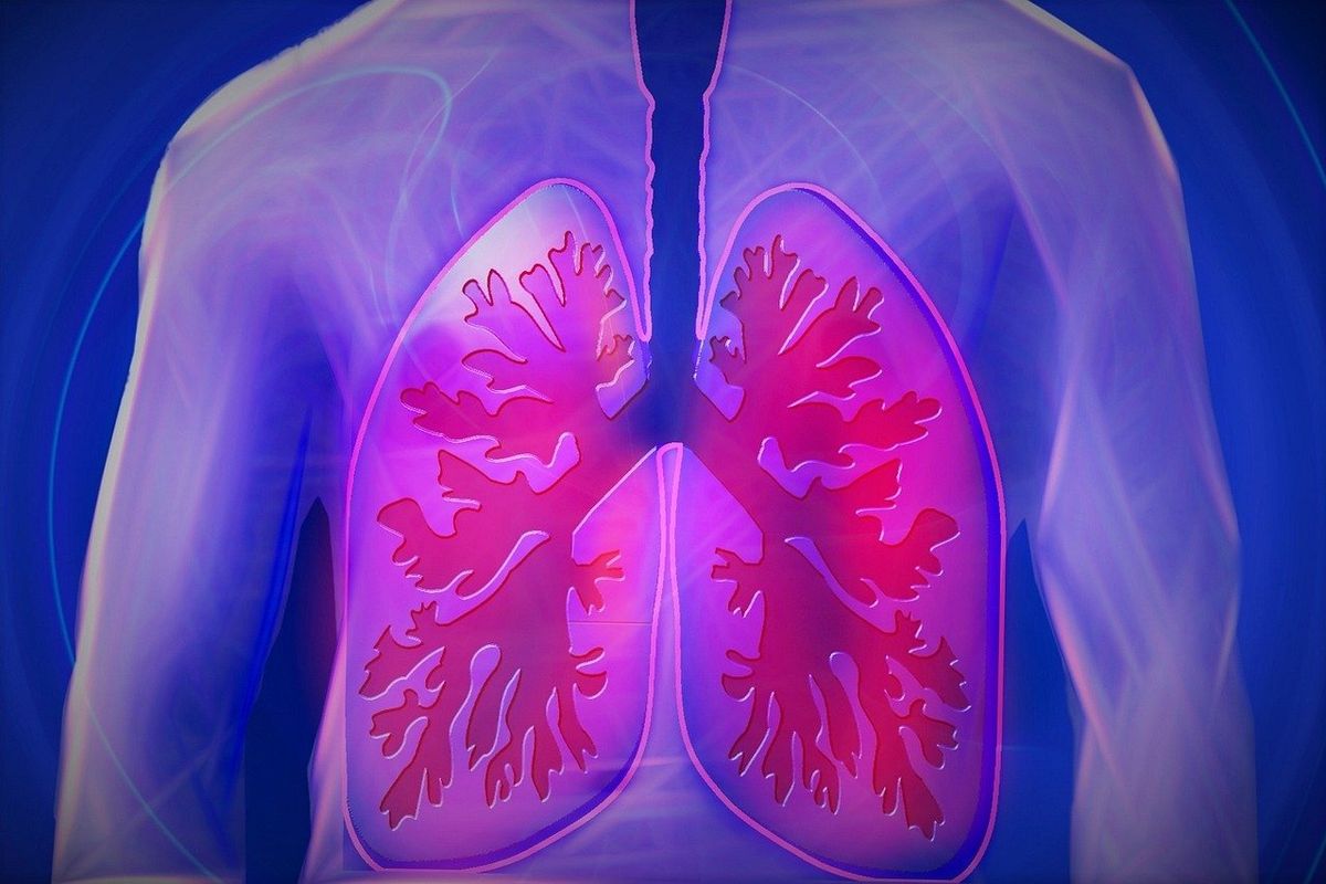 kondisi paru-paru pada penderita tbc