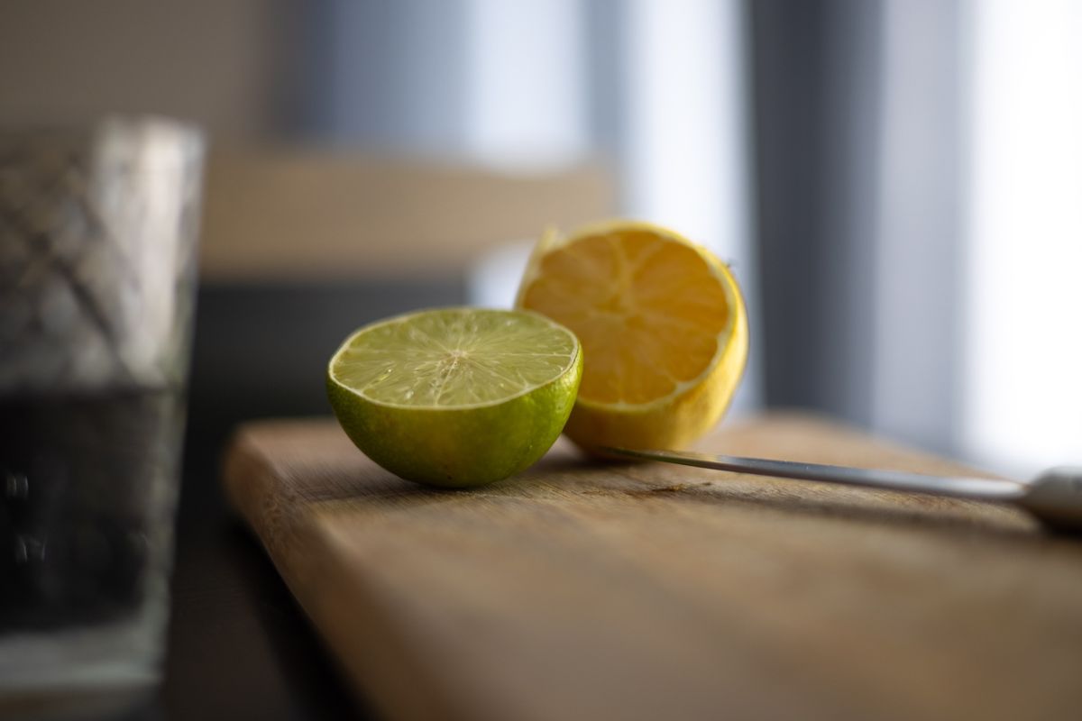 Ilustrasi jeruk lemon dan jeruk nipis
