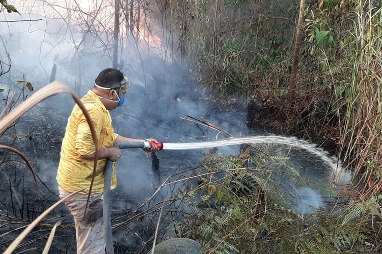 Petugas dari Dinas Kehutanan Kaltim sedang memadamkan kebakaran lahan di Kabupaten Berau pekan lalu. 