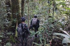 Rebut Markas OPM di Hutan Maybrat, TNI Amankan Kotak Amunisi dan Puluhan Anak Panah