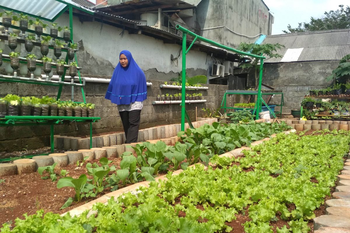 Kebun Sayur RW 10 Kebayoran Lama Selatan yang seblumnya merupakan tempat pembuangan sampah