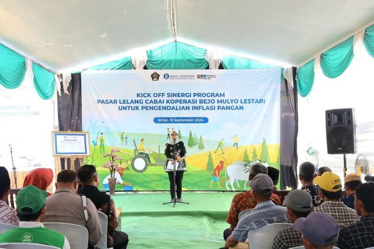 Melalui Program Pasar Lelang Cabai Koperasi Bejo Mulyo Lestari, petani diharapkan dapat memperoleh harga yang lebih baik untuk hasil panen sehingga dapat meningkatkan kesejahteraan. 