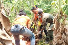 Hilang 3 Hari, Pegawai RSUD Karawang Ditemukan Tewas di Kebun Pisang, Diduga Korban Pembunuhan