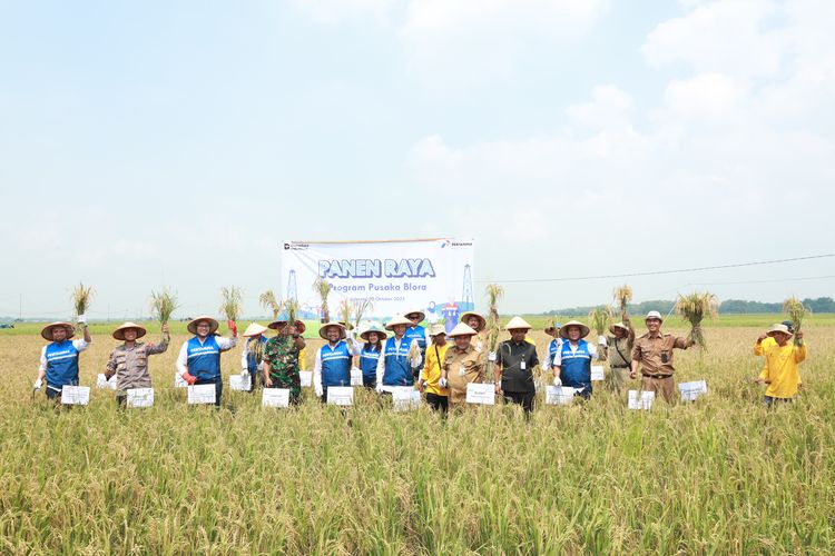 Panen raya oleh petani organik binaan Pertamina EP Cepu