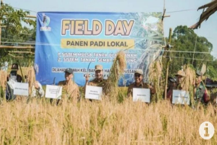 Wakil Wali Kota Banjarbaru Wartono (tengah) saat panen raya sekaligus meninjau peningkatan produksi tanaman padi dengan metode mulsa tanpa olah tanah di Handil Babussalam Bangkal, Kecamatan Cempaka beberapa waktu lalu.