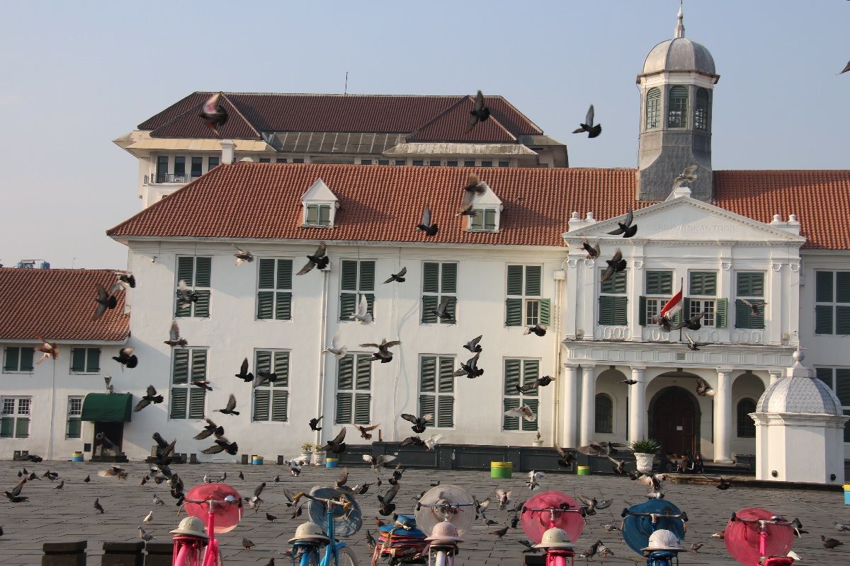 Burung-burung merpati sedang berterbangan di salah satu tempat di Kawasan Kota Tua Jakarta