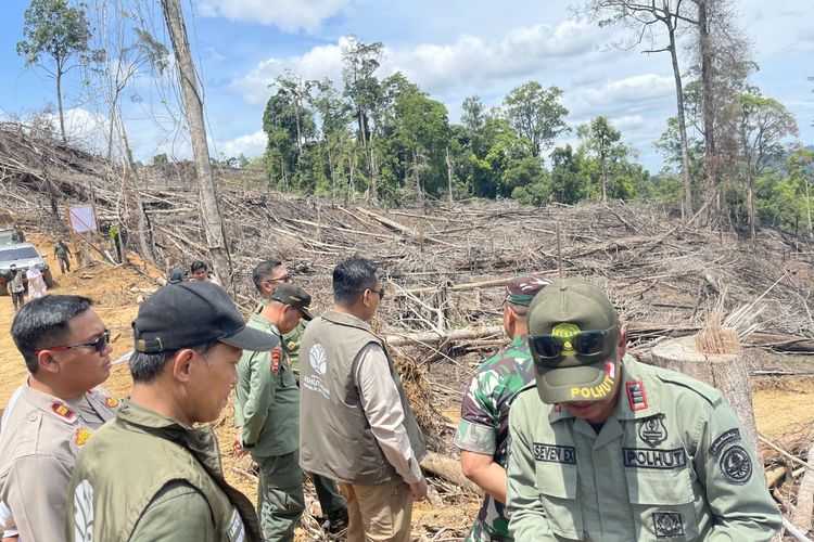 Tim Patroli Gajah di Bengkulu Temukan 37 Perambahan Hutan dan Satu Tambang Emas Liar