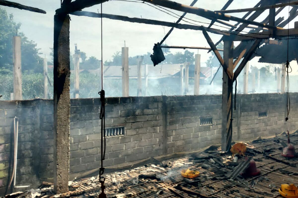 Kandang ayam pedaging di Desa Karangsono, Kecamatan Kanigoro, Kabupaten Blitar, hangus terbakar pada Jumat (13/12/2024)