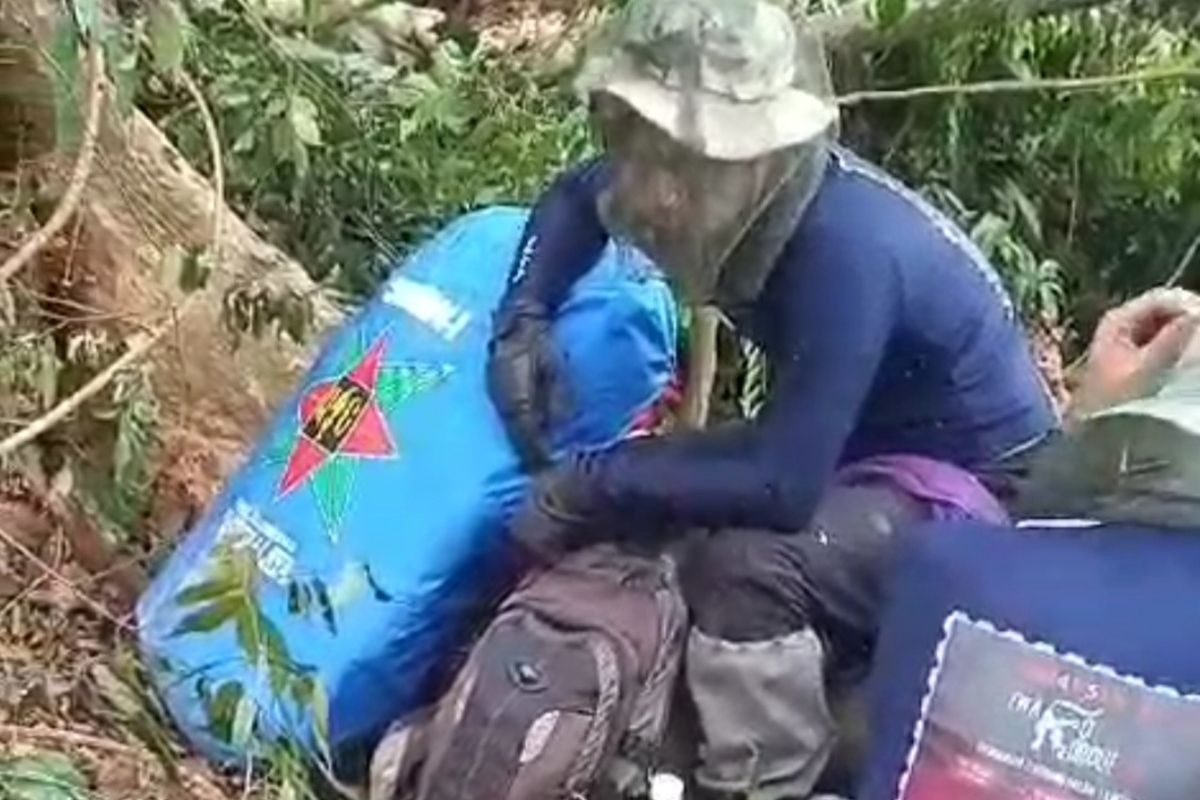 Ketiga pendaki saat mengirimkan video diserang tawon sebelum dinyatakan hilang saat pendakian di Gunung Balease, Sulawesi Selatan, Sabtu (23/11/2024).
