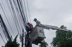 Koridor Ekosistem Rimba Jaga Warisan Budaya dan Kuliner Lokal di Jantung Sumatra