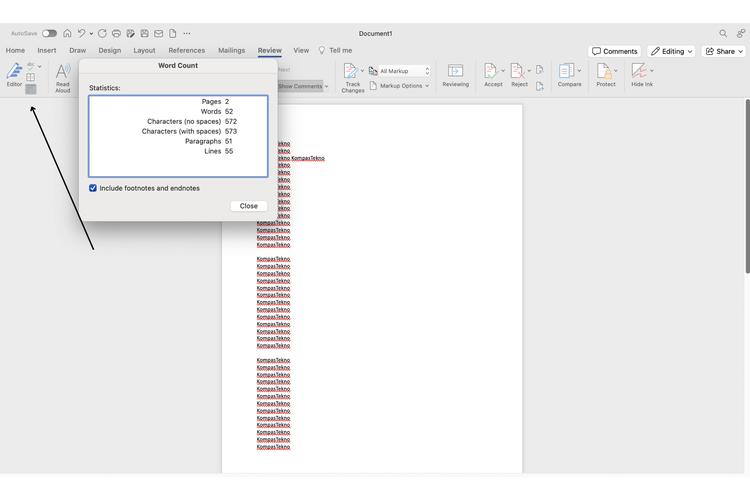 Ilustrasi cara cek jumlah kata di Word