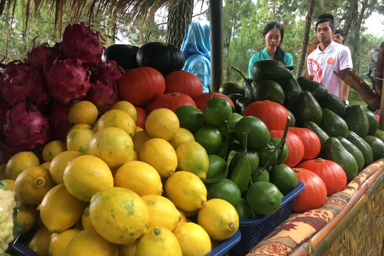 Sayuran organik yang dijual oleh para petani di Mulberry Hill by The Lodge, Desa Cibodas, Kecamatan Lembang, Kabupaten Bandung Barat, Jumat (23/2/2018).