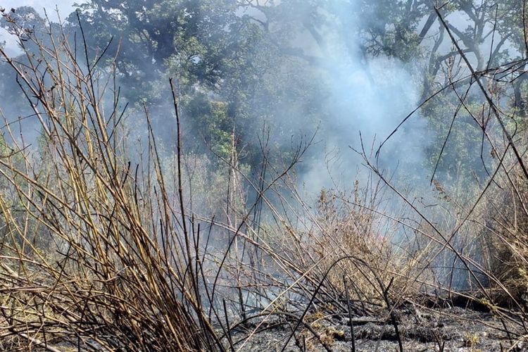 Asap akibat kebakaran di Gunung Semeru yang masih sulit untuk dipadamkan