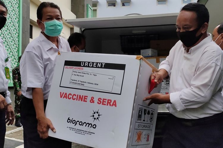 Vaksin Sinovac 5.480 dosis tiba di Kulon Progo, Daerah Istimewa Yogyakarta. Vaksin ini diprioritaskan pada nakes di awal.