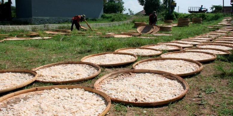 Sejumlah warga di Desa Kenanga, Kecamatan Sindang, Kabupaten Indramayu, Jawa Barat, bekerja mengeringkan kerupuk udang di sebuah pabrik beberapa waktu lalu. Pemerintah diminta memiliki keberpihakan terhadap pengembangan ekonomi kelautan.