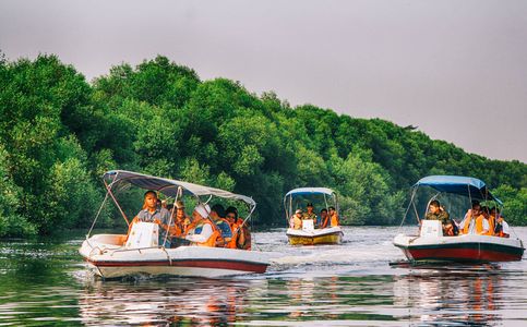 Explore the Wilderness at the Mangrove Forest in PIK Jakarta