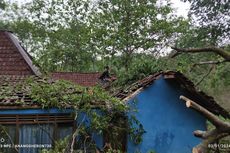 Sejumlah Rumah Warga di Sleman Tertimpa Pohon Imbas Hujan dan Angin Kencang