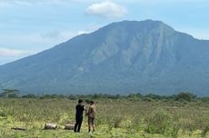 Harga Tiket Masuk TN Baluran Terkini, Hari Kerja dan Libur Beda