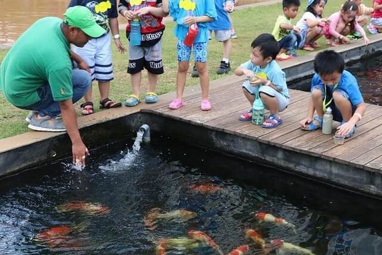 Foto pengunjung anak-anak bermain di area Central Pond.