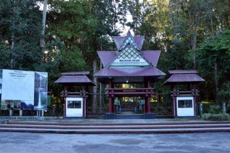 Taman Hutan Raya (Tahura) Bukit Barisan, salah satu destinasi wisata di Berastagi, Karo, Sumatera Utara.