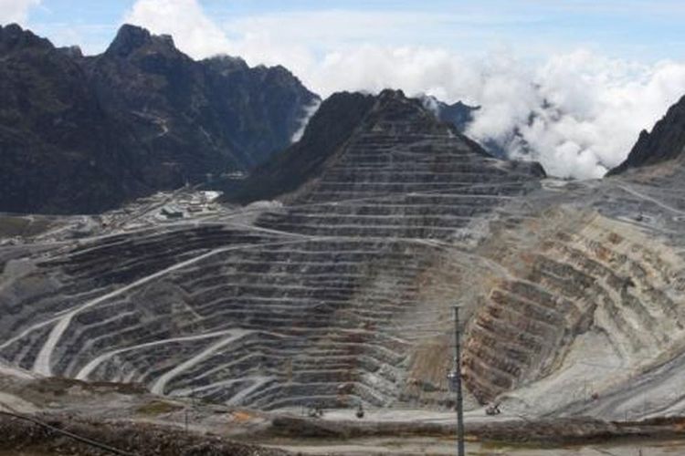 Setoran Freeport ke Negara Diproyeksi Capai Rp 120 Triliun, DPR Tekankan Manfaat bagi Masyarakat Papua