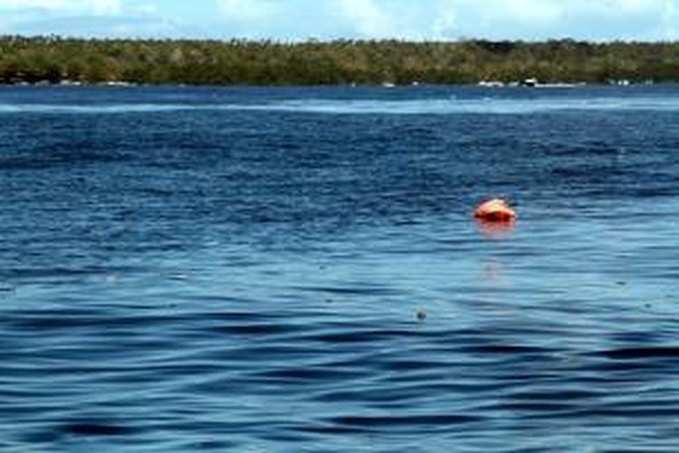 Sampah plastik terlihat mengapung di sekitar perairan Taman Laut Nasional Bunaken, Sulawesi Utara.