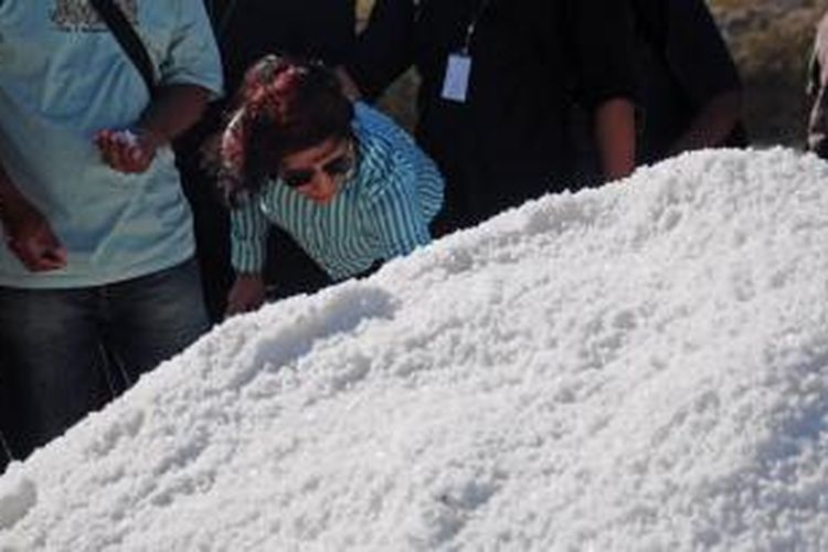 Menteri Perikanan Kelautan Susi Pudjiastuti saat panen garam di Pamekasan, Jumat (11/9/2015).