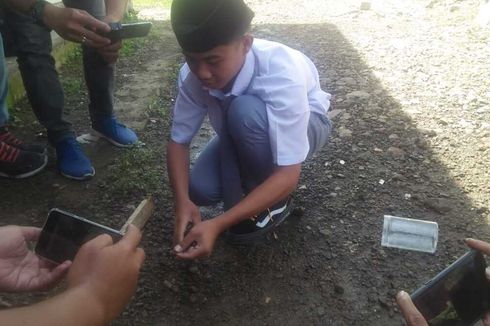 Santri di Tasikmalaya Tangkap 17 Anak Ular Kobra yang Diduga Gigit Penjual Es Cendol Keliling